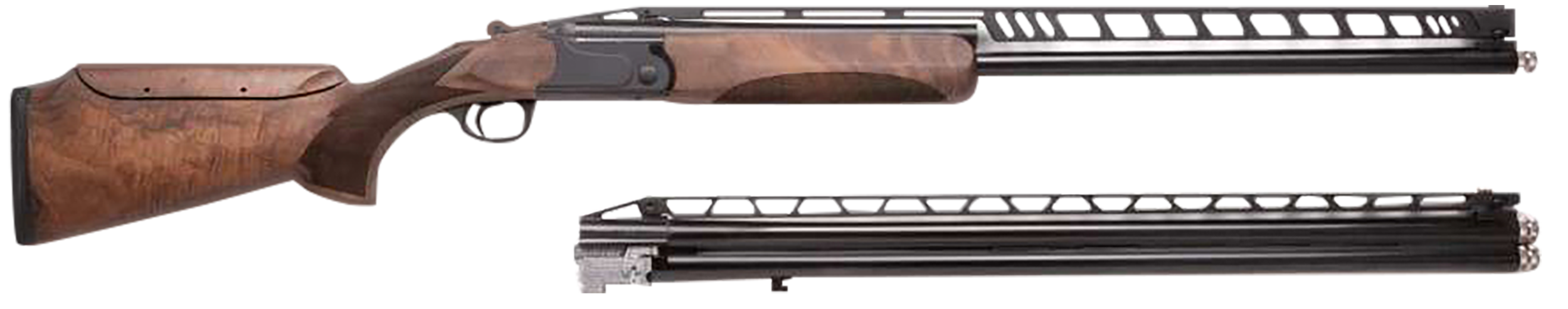 Primary Arms